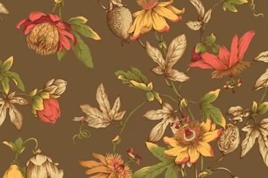 Brown GU1828X Tropical Floral Wallpapers   Traditional Wallpapers
