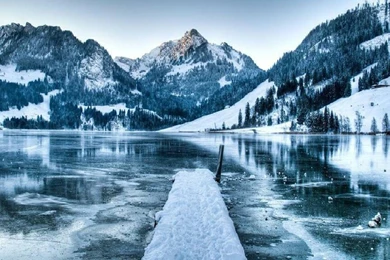 Icy Landscape   (