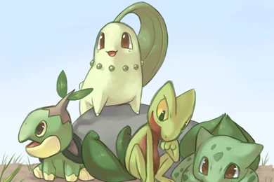 Bulbasaur Chikorita Pokemon Wallpapers   (