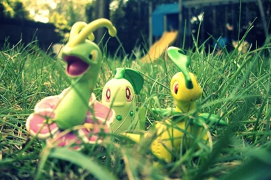 Chikorita Evolutions 2. By SilentGrimmjow On DeviantArt