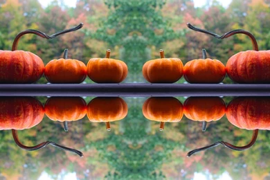 Food Art Party: Free Fall Backgrounds