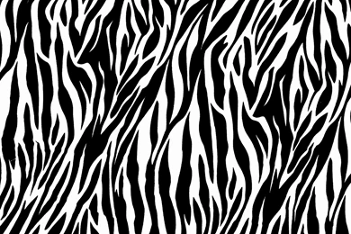 Zebra Print HD Wallpapers   Wallpapers Zone