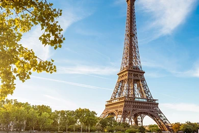 French Themed Wall Murals