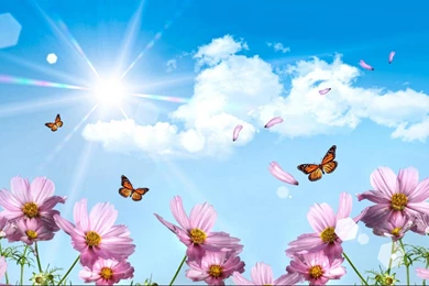 Surrealism Flower Wallpapers Image 1366x768 For 17/19 inch ...