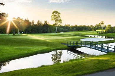 Free Golf Backgrounds