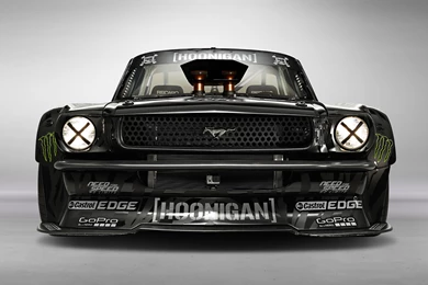 Hoonicorn