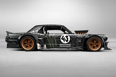 Hoonicorn