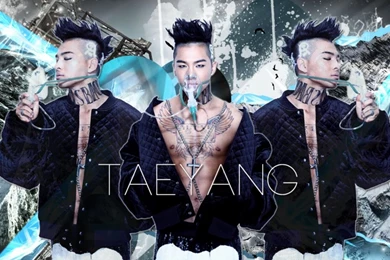 Taeyang Wallpapers By Alesanaakfg On DeviantArt