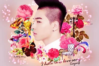 Taeyang Wallpapers