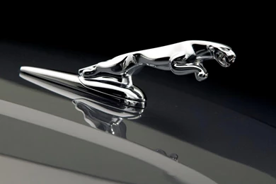 Jaguar Car Logo, Jaguar Logo Wallpapers Hd   JohnyWheels