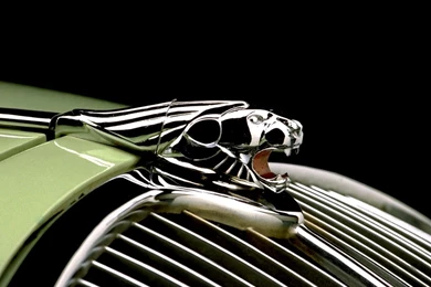 Jaguar Car Logo Wallpapers   Johnywheels.com