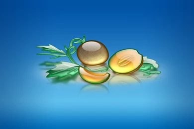 Home ≫ 3D Wallpapers ≫ 3D Widescreen Wallpapers