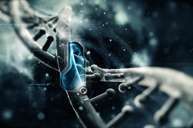 3d Wallpapers In HD Widescreen