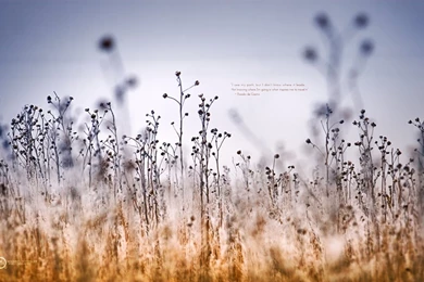 Inspired Travel   Wallpapers Download For 4 26 12 (+ A Future Book ...