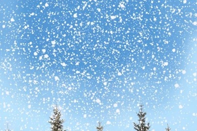 1(W)x1.5(H)m Scenic Snow Backgrounds Free Shipping Christmas Theme ...