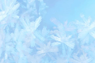 Crystalline Snowflakes   Pictures Collection Free Download ...