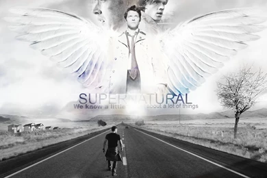 Castiel & Dean & Sam   Supernatural Wallpapers (7908455)   Fanpop