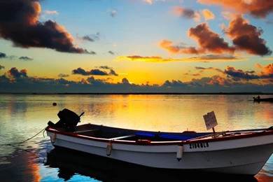 Free Screensavers Download SaversPlanet.com