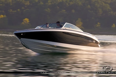 Cobalt Boats   Download Library