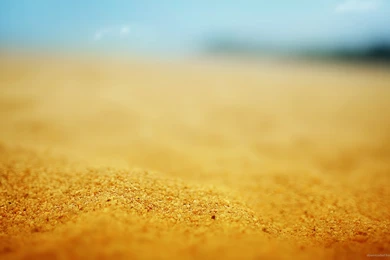 Twitter Nature Backgrounds