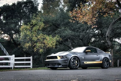 Cars Ford Mustang Gt 1920x1200 Wallpapers – Cars Ford HD Desktop ...