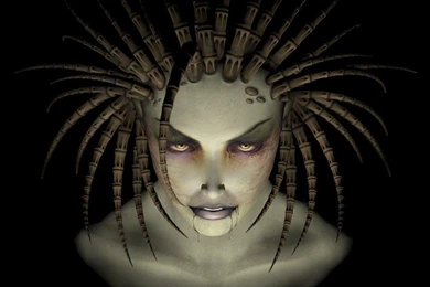 180 Starcraft HD Wallpapers