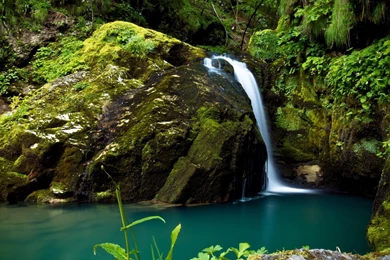 1920x1080 Waterfall Rain Forest Wallpapers