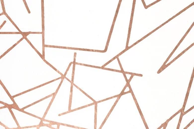 Angles Wallpapers   Copper Rose White