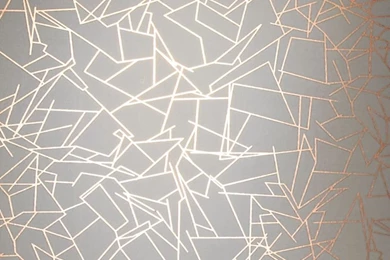 Angles Copper Rose / White Wallpapers By Erica Wakerly