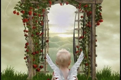 All Animal: Babies Angel Cute Babies Wallpapers Sweet Baby Photos ...