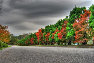 Animated Nature Wallpapers For Mobile   Widescreen HD Wallpapers