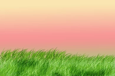 Backgrounds Infantil By Volframia20 On DeviantArt
