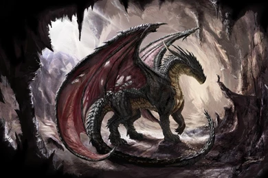 Black Dragon HD Live Wallpapers   Android Apps On Google Play