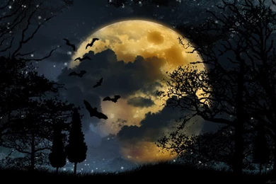 Moonlight Backgrounds By Lolotte10 On DeviantArt