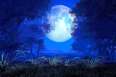 Wallpapers Moonlight Cartoon