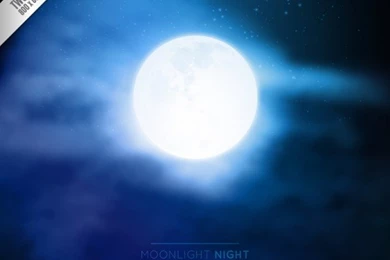 Moonlight Night Backgrounds Vector