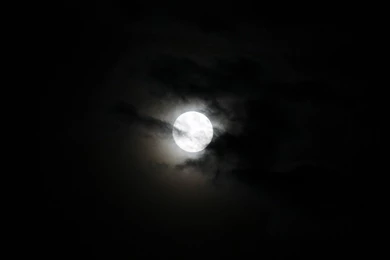 Free Stock Photo: Moon, Night, Moonlight, Mood   Free Image On ...