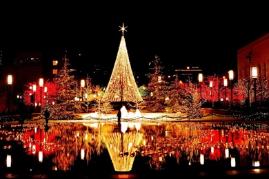 Magical City Lights Wallpapers   HD Wallpapers