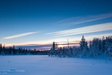 January 2014 Desktop Wallpapers