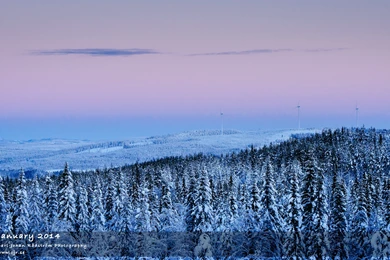 January 2014 Desktop Wallpapers