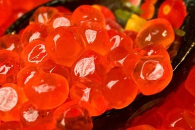 Popular iPhone Wallpapers   Wallpapers Zone