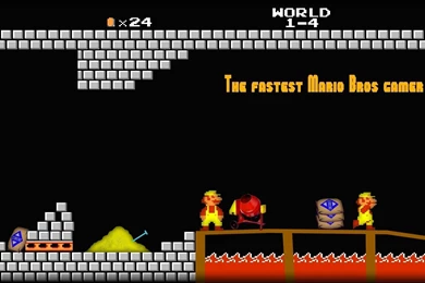 Download Mario Bros Wallpapers 1730x768