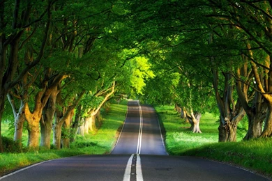 Mobile Wallpapers Free Download For Samsung   Wallpapers Zone