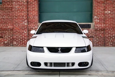 White 2004 Terminator Mustang Cobra Cars Wallpapers