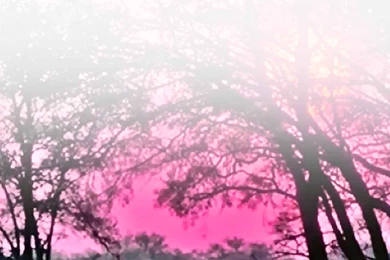 Sky Pink Wallpapers   Christian Wallpapers And Backgrounds