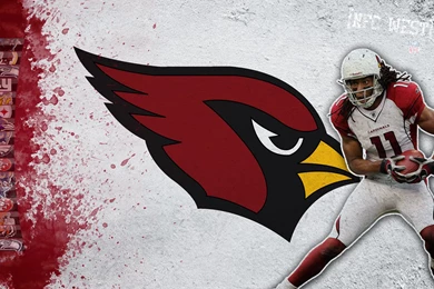 2560x1440 American Football, Nfl, Sports, Arizona Cardinals ...