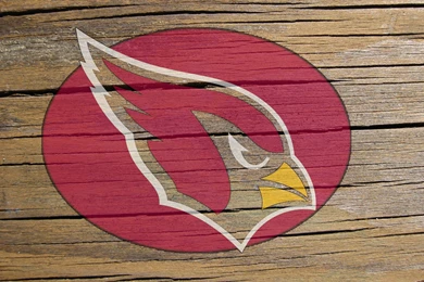 Landry Jones Photos Arizona Cardinals V Pittsburgh Steelers Zimbio ...