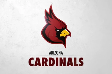 Top Cardinals Wallpapers 1 Wallpapers
