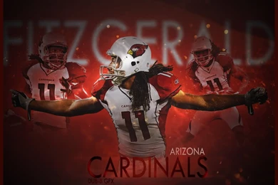 Larry Fitzgerald Wallpapers