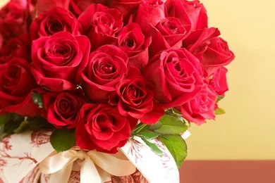 Red Rose Bouquet   (